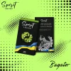 Тютюн Spirit (Спіріт) Bagator - Kiwi Sour (Кислий Ківі) 40г